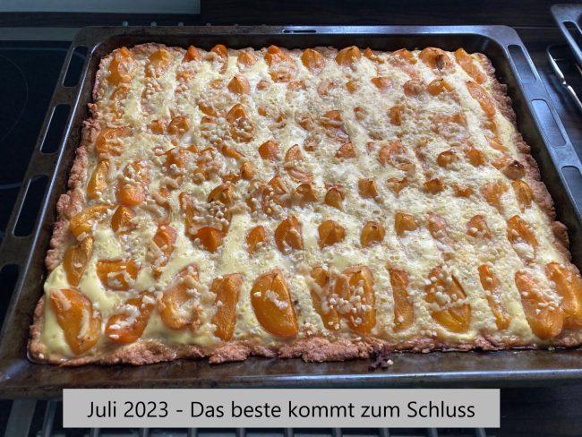 Aprikosenkuchen
