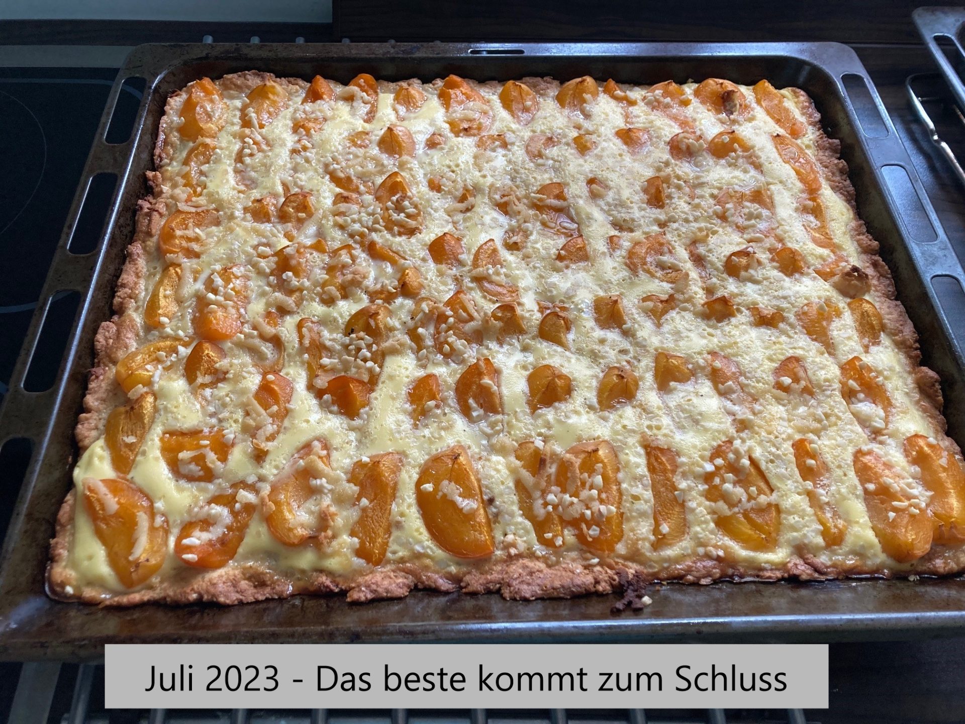 Aprikosenkuchen