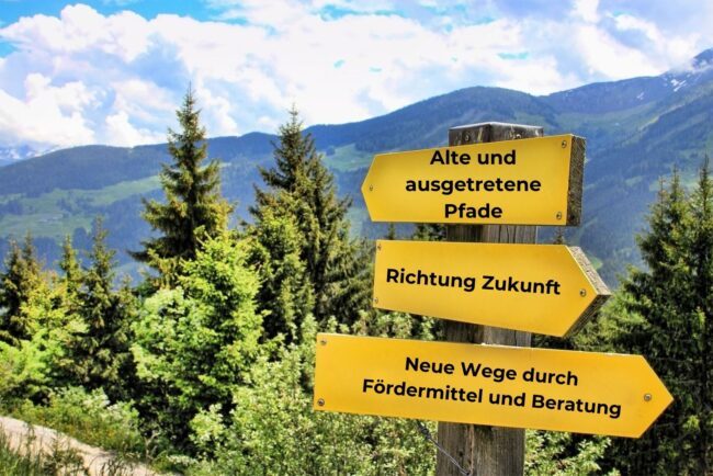 Zwischenüberschrift hinzufügen(29)