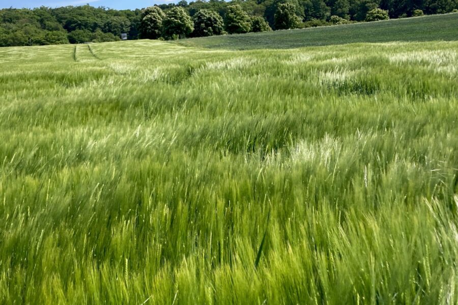 Energie tanken beginnt mit kleinen Momenten